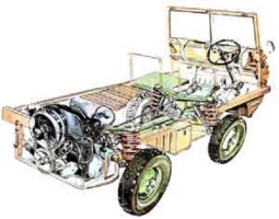 schematische Darstellung des Haflinger