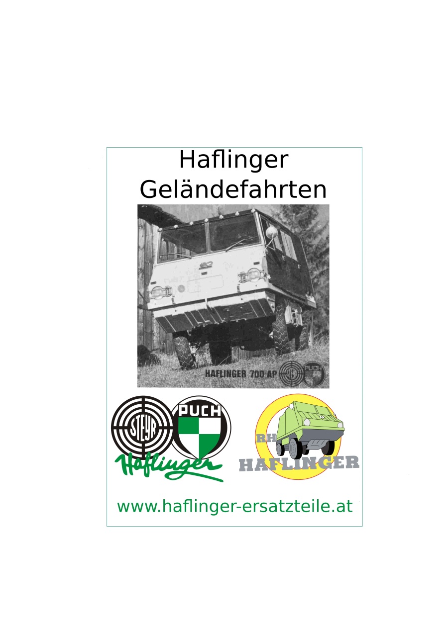 DVD: Haflinger Geländefahrt