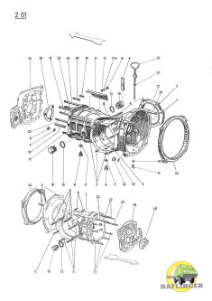 T21_G201