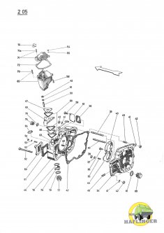 T22_G205